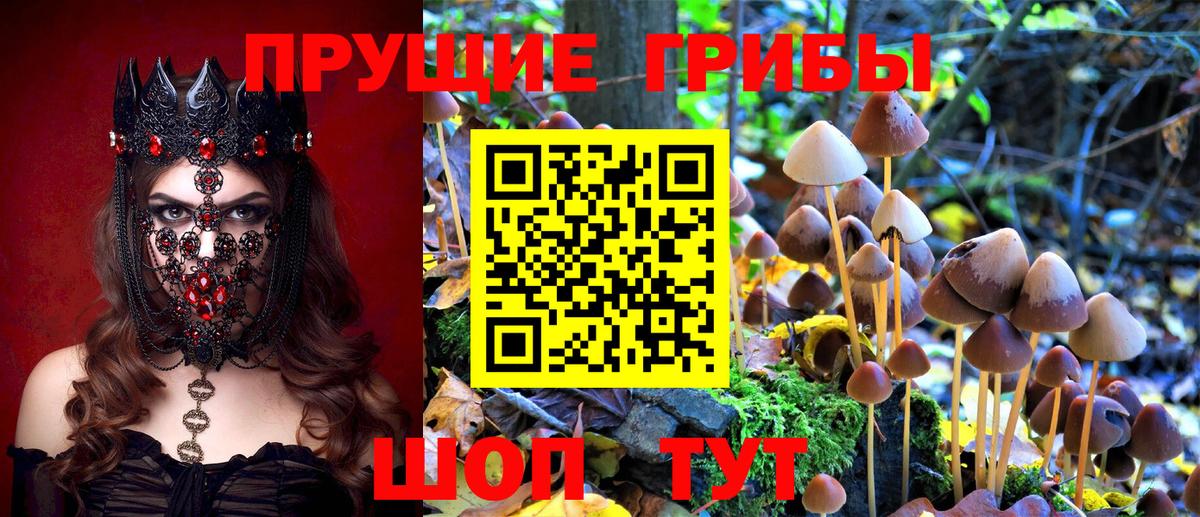 Галлюциногенные грибы мухоморы  Вход с VPN  продажа наркотиков  Горно-Алтайск 